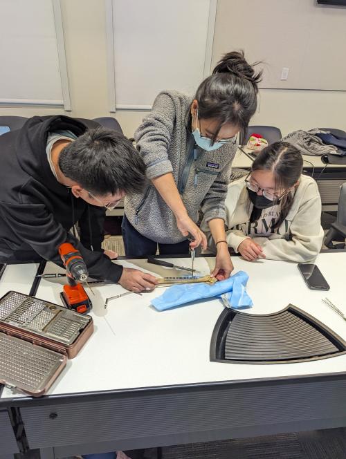 Students work together to affix a bone as part of a physiology course.